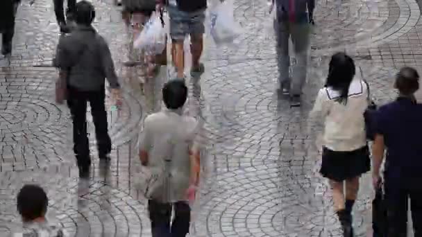 Piétons marchant un jour de pluie — Video