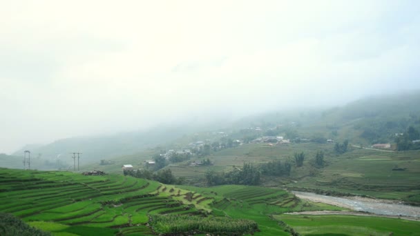 Niebla en las montañas de Sapa — Vídeo de stock