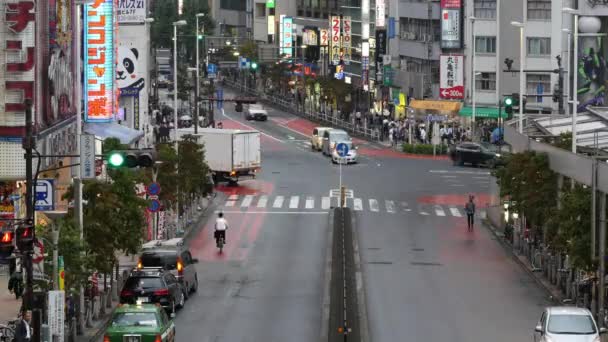 Blick auf den Verkehr auf der viel befahrenen Prachtstraße — Stockvideo