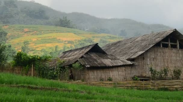 Casas rurales con terrazas de arroz — Vídeo de stock