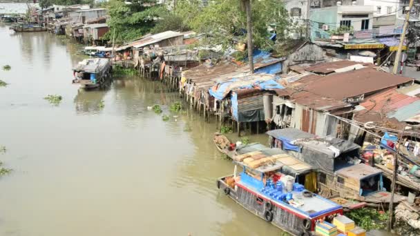 Shacks on the Mekong Delta — Stock Video