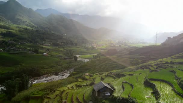 Terrasses de riz à Green Valley — Video