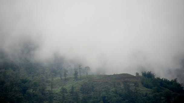 Brouillard dans les montagnes de Sapa 