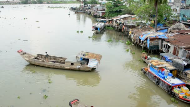 Espadas en el delta del Mekong — Vídeos de Stock