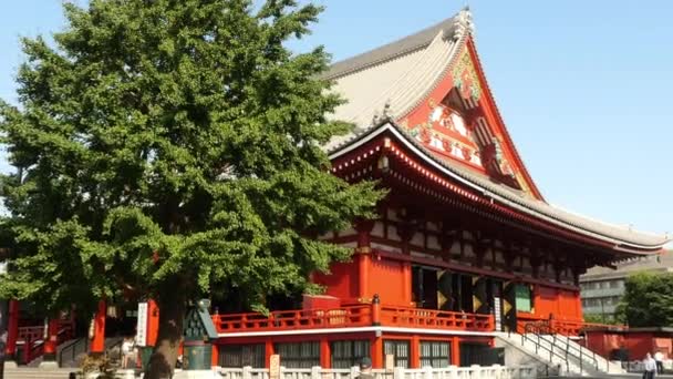 Toeristen Sensoji tempel — Stockvideo