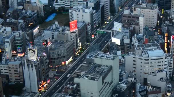 Blick auf Tokyos Skyline — Stockvideo