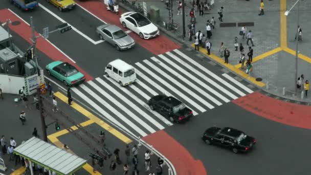 Drukke voetgangers straat oversteken — Stockvideo