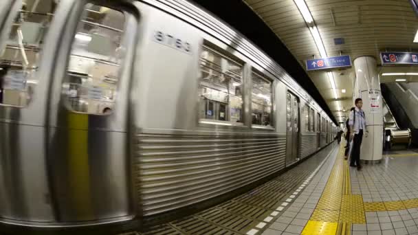 Pociąg metra wchodzi stacji — Wideo stockowe