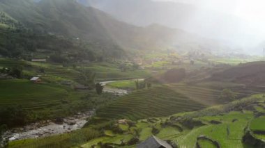 Yeşil Vadi içinde pirinç terasları