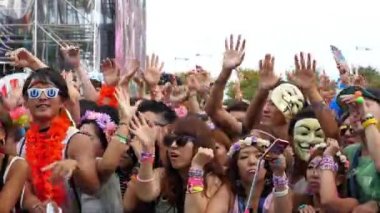 Kalabalık elektronik müzik festivali