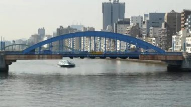 Bir köprünün altından geçen turist feribot