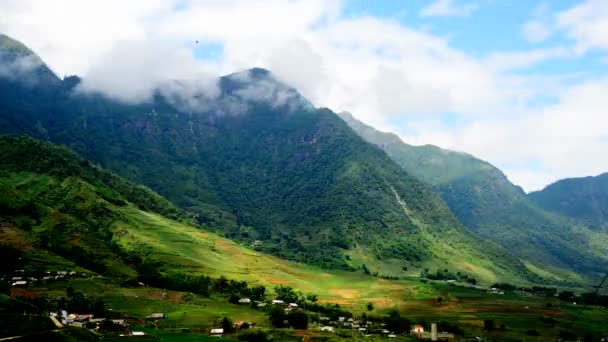 Rice Terraces in Green Valley — Stock Video