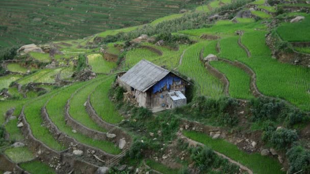 Дом с террасами из риса — стоковое видео