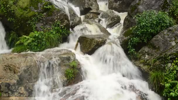 Cascada furiosa durante la tormenta — Vídeo de stock