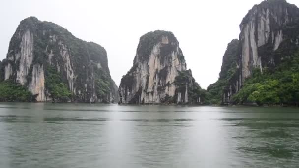 Вид на природу с туристической лодки — стоковое видео