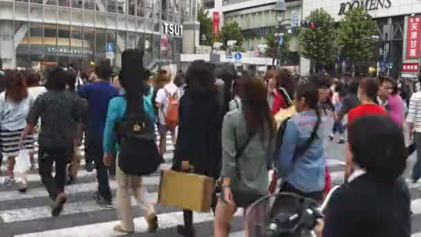 Busy Shibuya Crossing — Stock Video