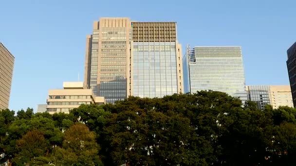 Edificios de oficinas rodeados de árboles — Vídeos de Stock