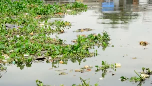 Hütten im Mekong-Delta — Stockvideo