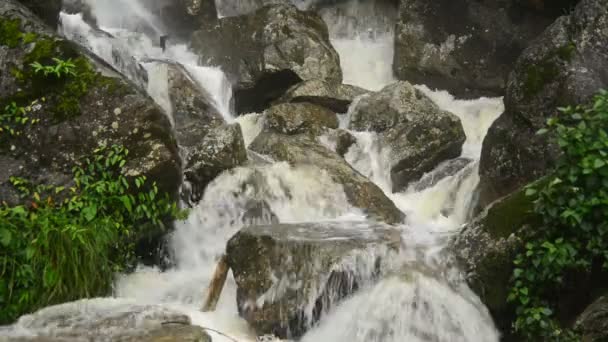 Cascada furiosa durante la tormenta — Vídeos de Stock