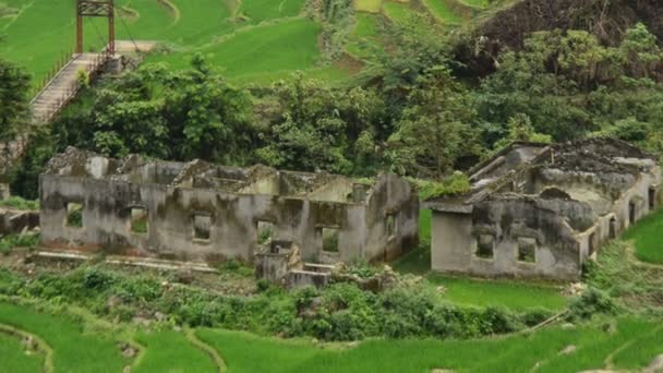 Rice Terraces in Green Valley — Stock Video