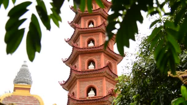 Tran Quoc Pagoda — стокове відео