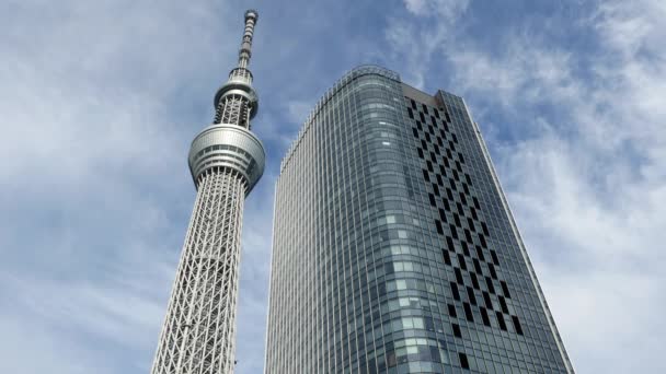 Sky tree Entertainment Tower — Stock Video