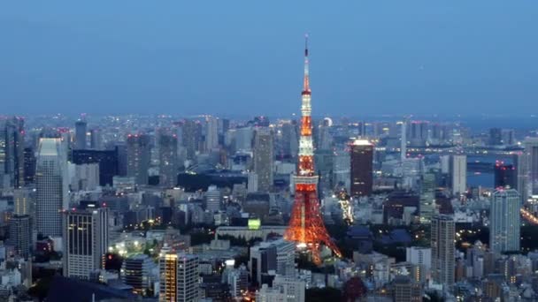 Tokyo Skyline at Night — Stock Video