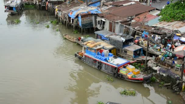 Espadas en el delta del Mekong — Vídeos de Stock