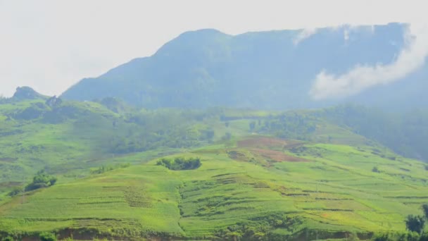 Rýžové terasy statku ve Vietnamu — Stock video