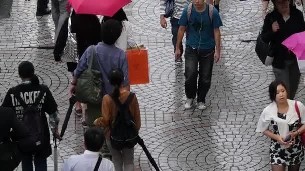 Pedestres de cima em um dia chuvoso — Vídeo de Stock