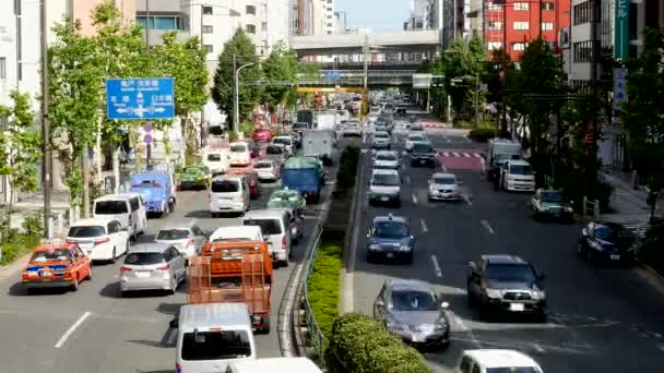 Yükseltilmiş Otoban trafik — Stok video