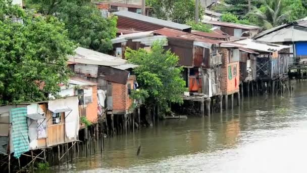 Espadas en el delta del Mekong — Vídeos de Stock