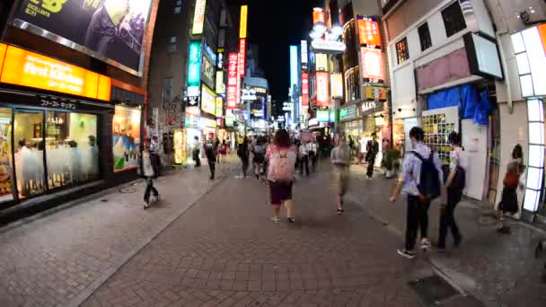 Busy Shinjuku Entertainment — Stock Video