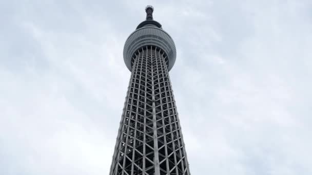 Sky tree Entertainment Tower — Stockvideo