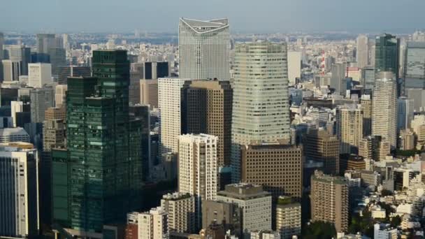 Blick auf Tokyos Skyline — Stockvideo