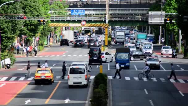 Yükseltilmiş Otoban trafik — Stok video