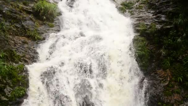 Tomboló vízesés alatt zivatar — Stock videók