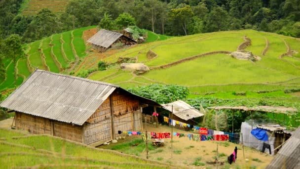 Casas rurales con terrazas de arroz — Vídeo de stock