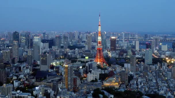 Tokyo Skyline at Night — Stock Video