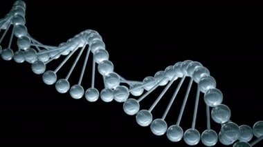 DNA modeli - ilmekledi animasyon