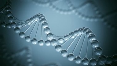 DNA modeli - ilmekledi animasyon