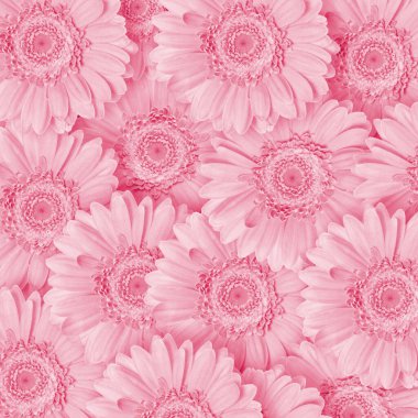 Pembe Çiçekler Desen Arkaplanı