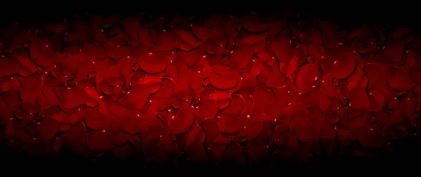 红玫瑰花瓣背景-优质相片 — 图库照片