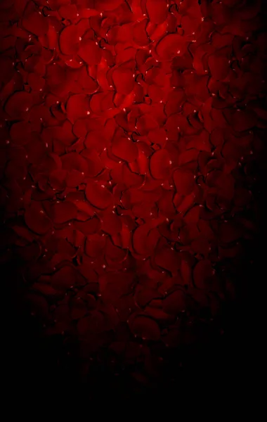 Piros rózsaszirmok háttér - Kiváló minőségű fotó — Stock Fotó