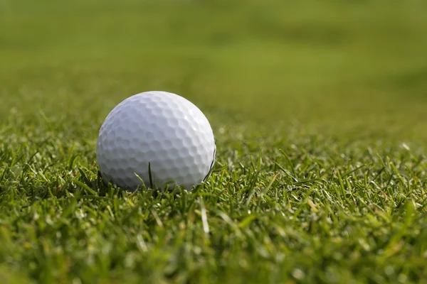 Prázdné Golf ball na trávě — Stock fotografie