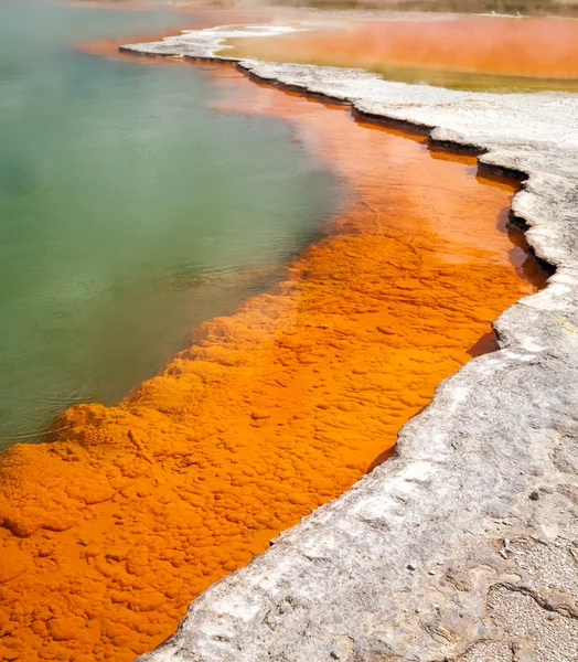 Champagne Pool at Wai-O-Tapu  geothermal area in  New Zealand — Stock Photo, Image