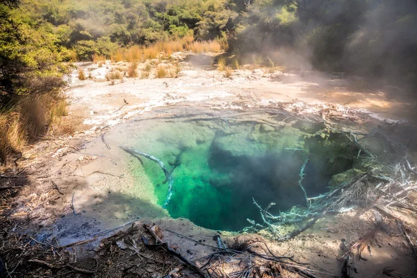 Varm pool på Tokaanu termiska området i Nya Zeeland — Stockfoto