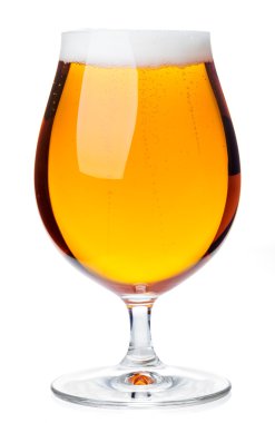 Tulip glass of pilsener beer isolated clipart