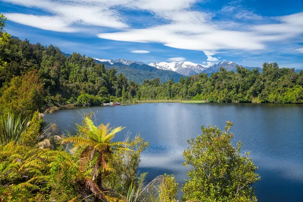 Lago Kettle Mapourika na Nova Zelândia — Fotografia de Stock