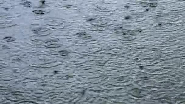 Golfde water - regenachtig weer achtergrond — Stockvideo